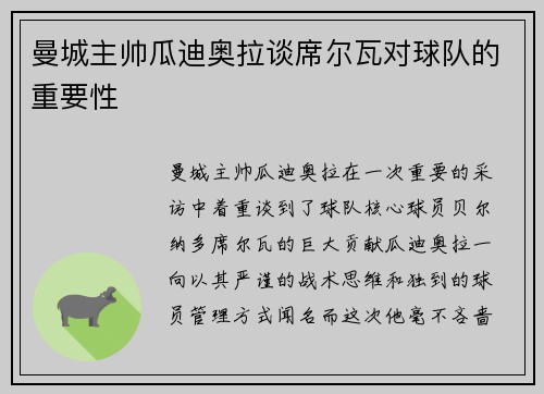 曼城主帅瓜迪奥拉谈席尔瓦对球队的重要性
