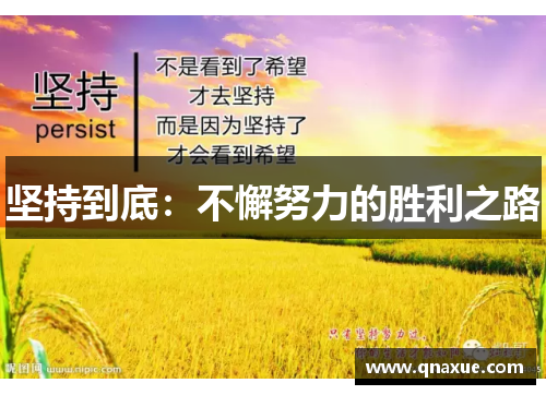 坚持到底：不懈努力的胜利之路