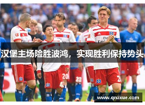 汉堡主场险胜波鸿，实现胜利保持势头