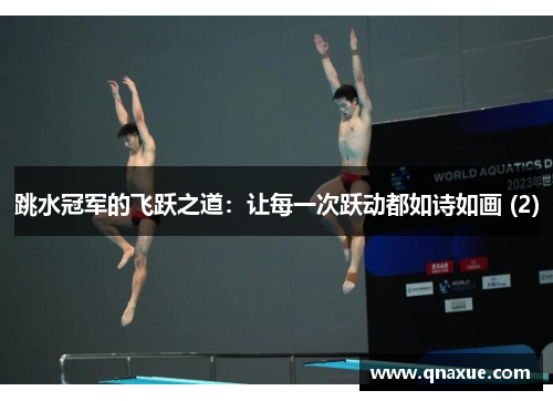 跳水冠军的飞跃之道：让每一次跃动都如诗如画 (2)