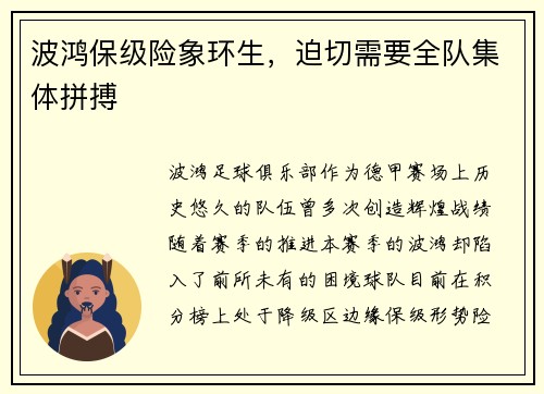 波鸿保级险象环生，迫切需要全队集体拼搏