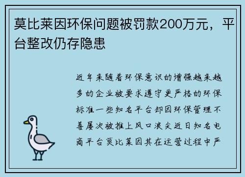 莫比莱因环保问题被罚款200万元，平台整改仍存隐患